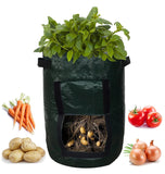 Potato Grow Bags