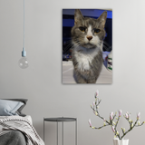 Pet High Def Portrait Brushed Aluminum Print